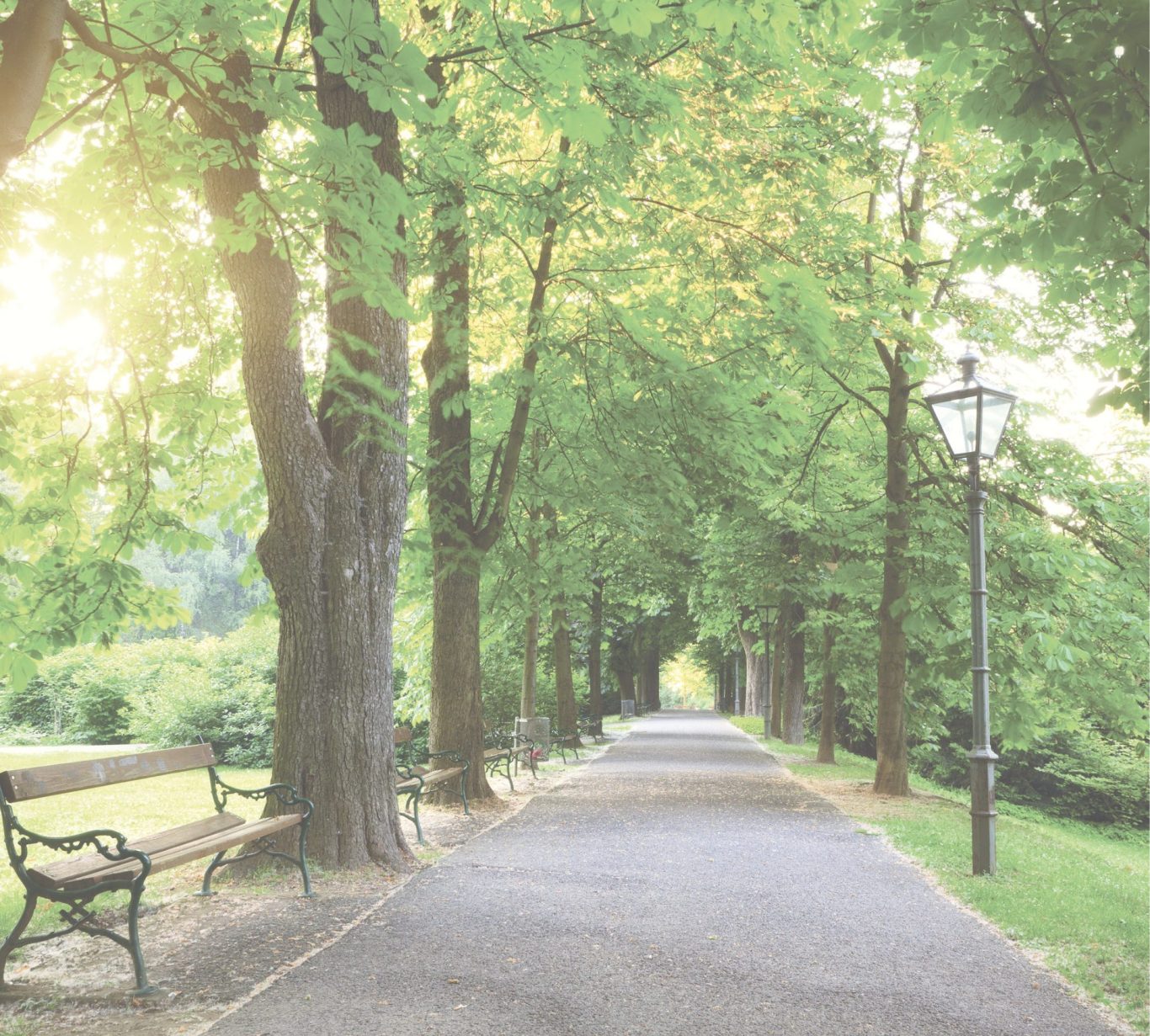 Kotakt & Anfahrt Ein ruhiger Weg in einem grünen Park mit Bäumen und einer Bank.